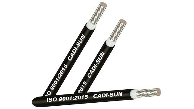 Cáp nhôm Cu/XLPE/PVC 1x10