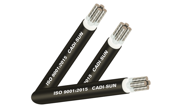 Cáp nhôm Cu/XLPE/PVC 4x10